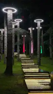 Magic Forest - 26