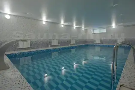 Багира - 7