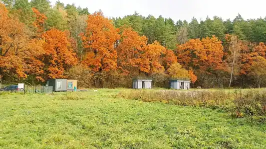Лисица - 2