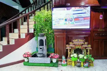 Marine Paradise - 14