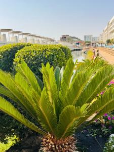 Bellagio Beach Resort & Spa - 25