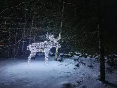 Березовый хутор - 3