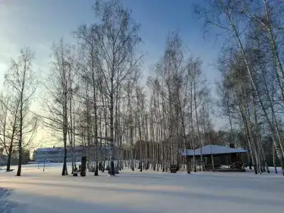 Мечта - 41
