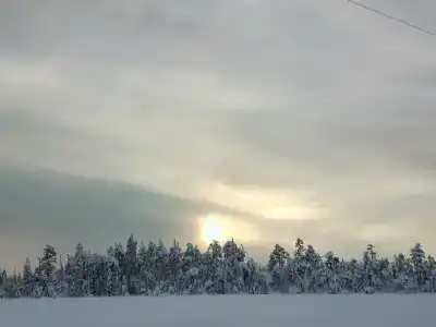 Центральная - 3