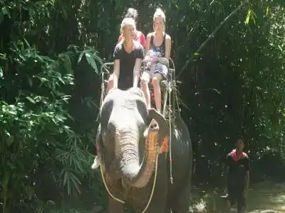 Khao sok river&jungle resort - 26