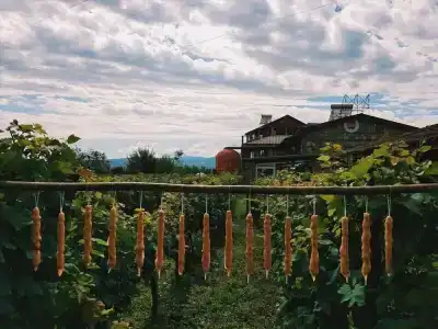 Twins Wine House - 18