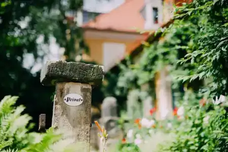 Villa Sorgenfrei & Restaurant Atelier Sanssouci - 35