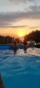 Экзотик Эльвар - 3
