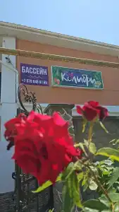 Колибри - 26