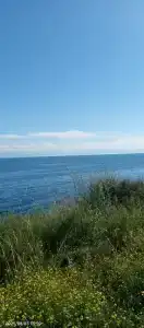 Эдем - Аквамарин - 27