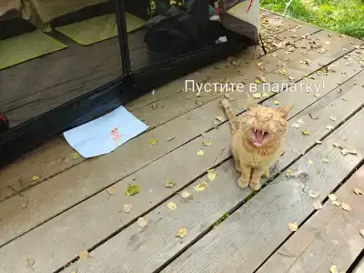 Беловодье - 40