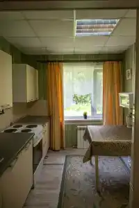 Сосновые шишки - 29