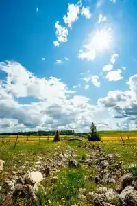 Королевская охота - 43