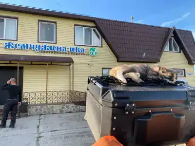 Жемчужина Ика - 48