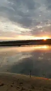 Медведчикова - 7