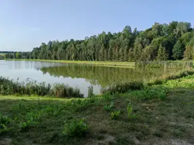 Свяцкі Палац - 48