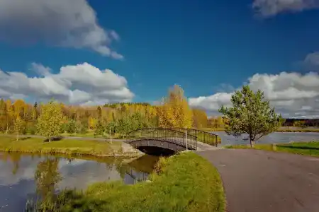 Черные камни - 61