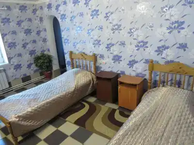 Родничок - 1