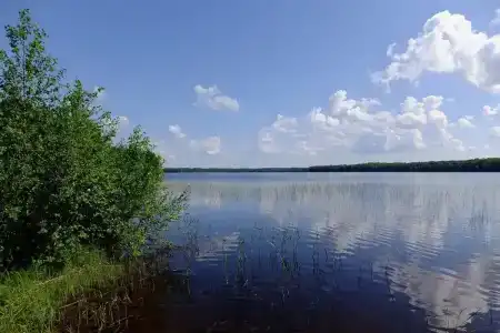 Марково - 17