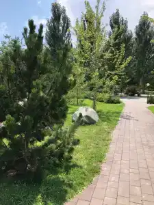 Ступинская - 2