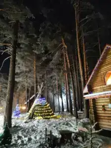 Дача в соснах - 34