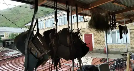 Истоки - 10