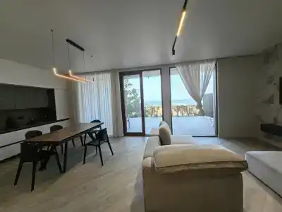 Павлония - 22