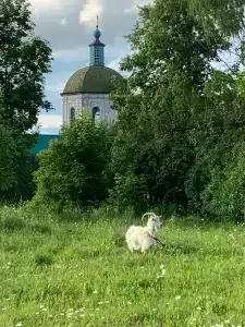 Старый Мултан - 10