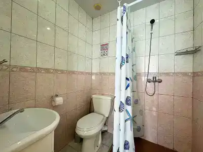 Вистерия - 21