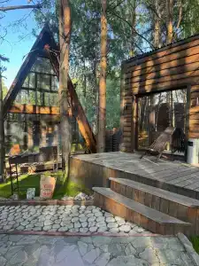 Магия леса - 47