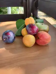 СОЦ Анапа - 23
