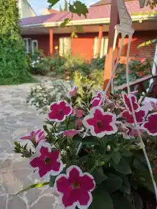 Лето на Заречной - 8