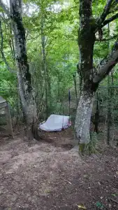 В тени Тутовника - 4