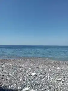 Царское Село - 8