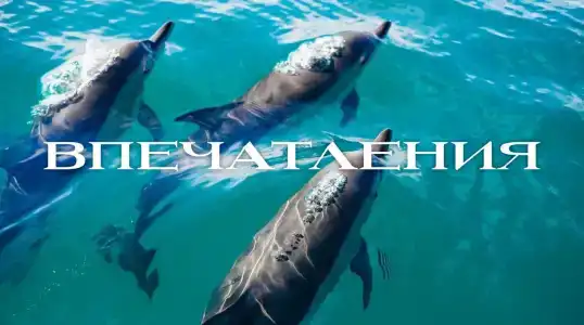 Бухта Афинеон - 38