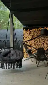 Betula - 65