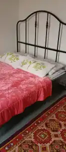 Живой дом - 3