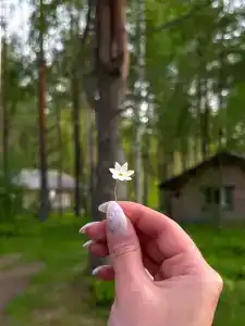 Карельский берег - 7