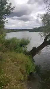Лесное Озеро - 15