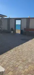 Приморский - 37