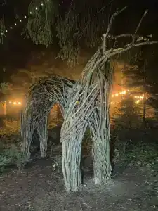 Кучумъ - 41