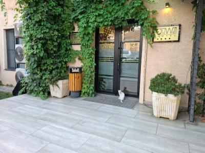 Old Wall - 41