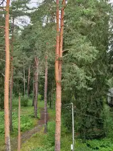 Сокол - 28