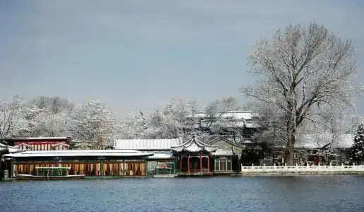 Xinhai Jin Jiang - 16