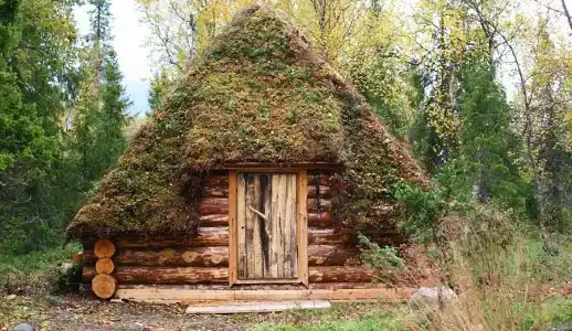 Медвежий угол - 4