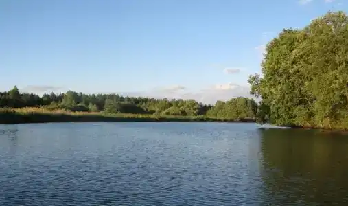 Аист - 11