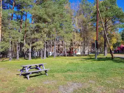 Аватар-Жизнь - 20