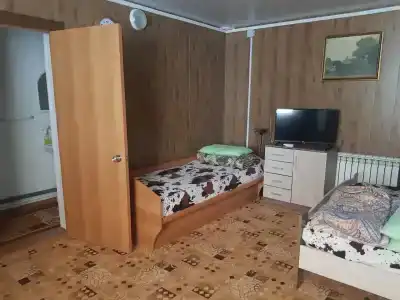 ДГС - 5