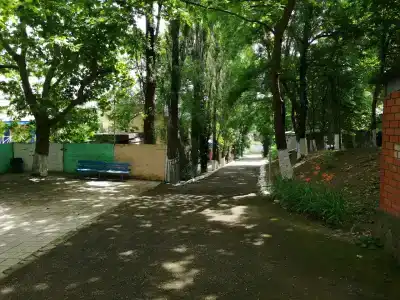 Партан - 29