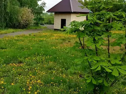 Рябинушка - 22